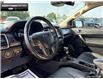 2019 Ford Ranger  (Stk: P11573A) in Brantford - Image 12 of 24
