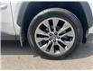 2023 Toyota RAV4 XLE (Stk: U6481) in Woodstock - Image 12 of 12
