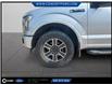 2017 Ford F-150 XLT (Stk: F51592A) in GEORGETOWN - Image 11 of 12