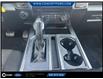 2017 Ford F-150 XLT (Stk: F51592A) in GEORGETOWN - Image 8 of 12