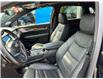 2023 Cadillac XT5 Sport (Stk: N16981) in Newmarket - Image 12 of 33