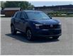 2025 Nissan Kicks SV (Stk: CSL410337) in Cobourg - Image 8 of 12