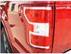 2020 Ford F-150 XLT (Stk: MS208A) in Kamloops - Image 11 of 23