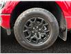 2025 Ford F-150 XLT (Stk: 25T077) in ROCKY MOUNTAIN HOUSE - Image 14 of 15