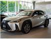 2019 Lexus UX 250h Base (Stk: PL25038) in Kingston - Image 1 of 17