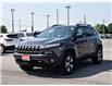 2017 Jeep Cherokee Trailhawk (Stk: LKSO00260A) in Chatham - Image 3 of 26