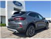 2025 Ford Escape PHEV (Stk: LFEP00903) in Tilbury - Image 3 of 15