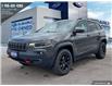 2019 Jeep Cherokee Trailhawk (Stk: 2003976A) in Innisfil - Image 1 of 25