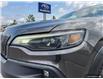 2019 Jeep Cherokee Trailhawk (Stk: 2003976A) in Innisfil - Image 8 of 25
