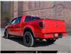 2013 Ford F-150 FX4 (Stk: 312391) in Victoria - Image 4 of 24