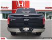 2017 Ford F-150 XLT (Stk: N125417A) in Saint John - Image 4 of 27