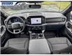 2025 Ford F-150 XLT (Stk: 27269) in Dartmouth - Image 23 of 24