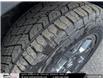 2025 Honda Pilot TrailSport (Stk: 2501653) in North York - Image 11 of 29