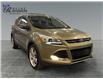 2013 Ford Escape Titanium (Stk: R9542A) in ROSETOWN - Image 1 of 17