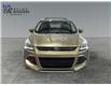 2013 Ford Escape Titanium (Stk: R9542A) in ROSETOWN - Image 8 of 17