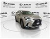 2023 Lexus NX 350h Base (Stk: 14110180A) in Markham - Image 3 of 28