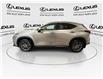2023 Lexus NX 350h Base (Stk: 14110180A) in Markham - Image 6 of 28