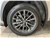 2023 Lexus NX 350h Base (Stk: 14110180A) in Markham - Image 11 of 28