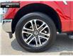 2023 Ford F-150 XLT (Stk: P11646) in Brantford - Image 6 of 23