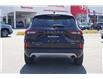 2023 Ford Escape Platinum (Stk: 62P24-099) in Vernon - Image 6 of 22
