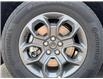 2025 Ford Maverick XLT (Stk: 25MV704) in Toronto - Image 9 of 22