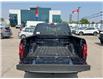 2025 Ford F-150 XLT (Stk: 25F697) in Toronto - Image 7 of 29