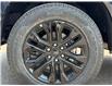 2025 Ford F-150 XLT (Stk: 25F697) in Toronto - Image 11 of 29