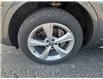 2019 Audi Q5 45 Progressiv (Stk: 94053A) in New Glasgow - Image 8 of 15