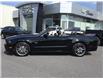 2014 Ford Mustang GT (Stk: 25068A) in Cornwall - Image 17 of 26