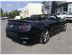 2014 Ford Mustang GT (Stk: 25068A) in Cornwall - Image 20 of 26