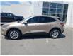 2020 Ford Escape SE (Stk: 25109A) in Espanola - Image 2 of 15