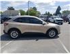 2020 Ford Escape SE (Stk: 25109A) in Espanola - Image 6 of 15