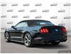 2015 Ford Mustang V6 (Stk: 803062) in St. Catharines - Image 4 of 28