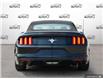 2015 Ford Mustang V6 (Stk: 803062) in St. Catharines - Image 5 of 28