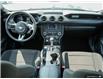 2015 Ford Mustang V6 (Stk: 803062) in St. Catharines - Image 25 of 28