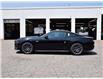 2025 Ford Mustang GT (Stk: M51789) in GEORGETOWN - Image 5 of 26