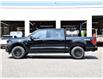 2025 Ford F-150 XLT (Stk: F51829) in GEORGETOWN - Image 5 of 28