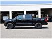 2025 Ford F-150 STX (Stk: F51805) in GEORGETOWN - Image 5 of 25