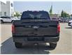 2024 Ford F-150 STX (Stk: PU24398) in Newmarket - Image 15 of 16
