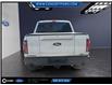 2024 Ford F-150 Tremor (Stk: P51605A) in GEORGETOWN - Image 14 of 16