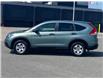 2013 Honda CR-V LX (Stk: CPW111297L1) in Cobourg - Image 3 of 20