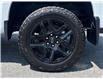 2025 Chevrolet Silverado 1500 LT Trail Boss (Stk: 25308) in Temiskaming Shores - Image 9 of 17