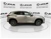 2022 Lexus NX 450h+ Base (Stk: 14110453A) in Markham - Image 10 of 29
