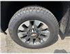 2025 Chevrolet Silverado 2500HD Custom (Stk: TS218327) in Caledonia - Image 10 of 33