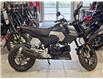 2025 Honda GROM ABS (Stk: 25HS-023) in Grande Prairie - Image 1 of 1
