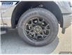 2025 Ford F-150 XLT (Stk: 27284) in Dartmouth - Image 7 of 24