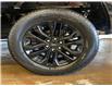 2025 Ford F-150 Lariat (Stk: 25LT91) in St.Paul - Image 10 of 10