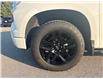 2023 Chevrolet Silverado 1500 RST (Stk: 149374) in Port Hope - Image 5 of 20