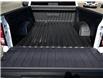 2025 GMC Sierra 1500 Elevation (Stk: 25-194) in Salmon Arm - Image 8 of 48
