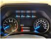 2017 Ford F-150 XLT (Stk: UB36119) in Shellbrook - Image 13 of 21